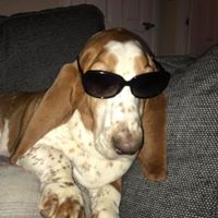 Bruno – Charity Supporter